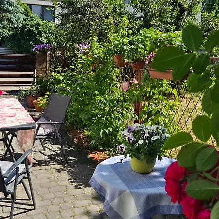 Winogradka Apartment *